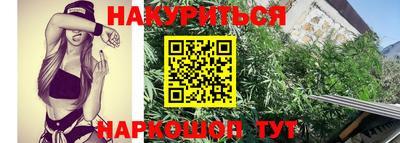 шишки Берёзовский