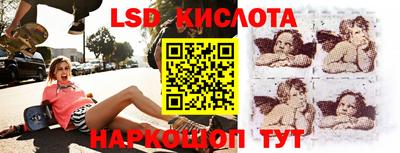 шишки Берёзовский