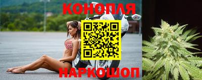 шишки Берёзовский