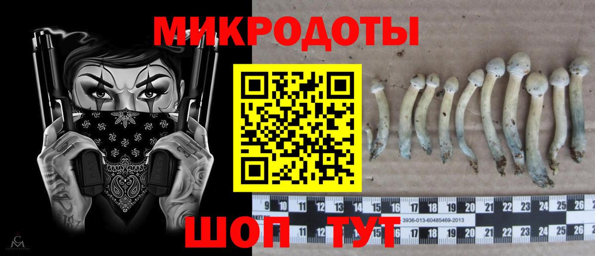 Галлюциногенные грибы ЛСД  Галлюциногенные грибы мицелий  продажа наркотиков  Вход с VPN  Киселёвск 